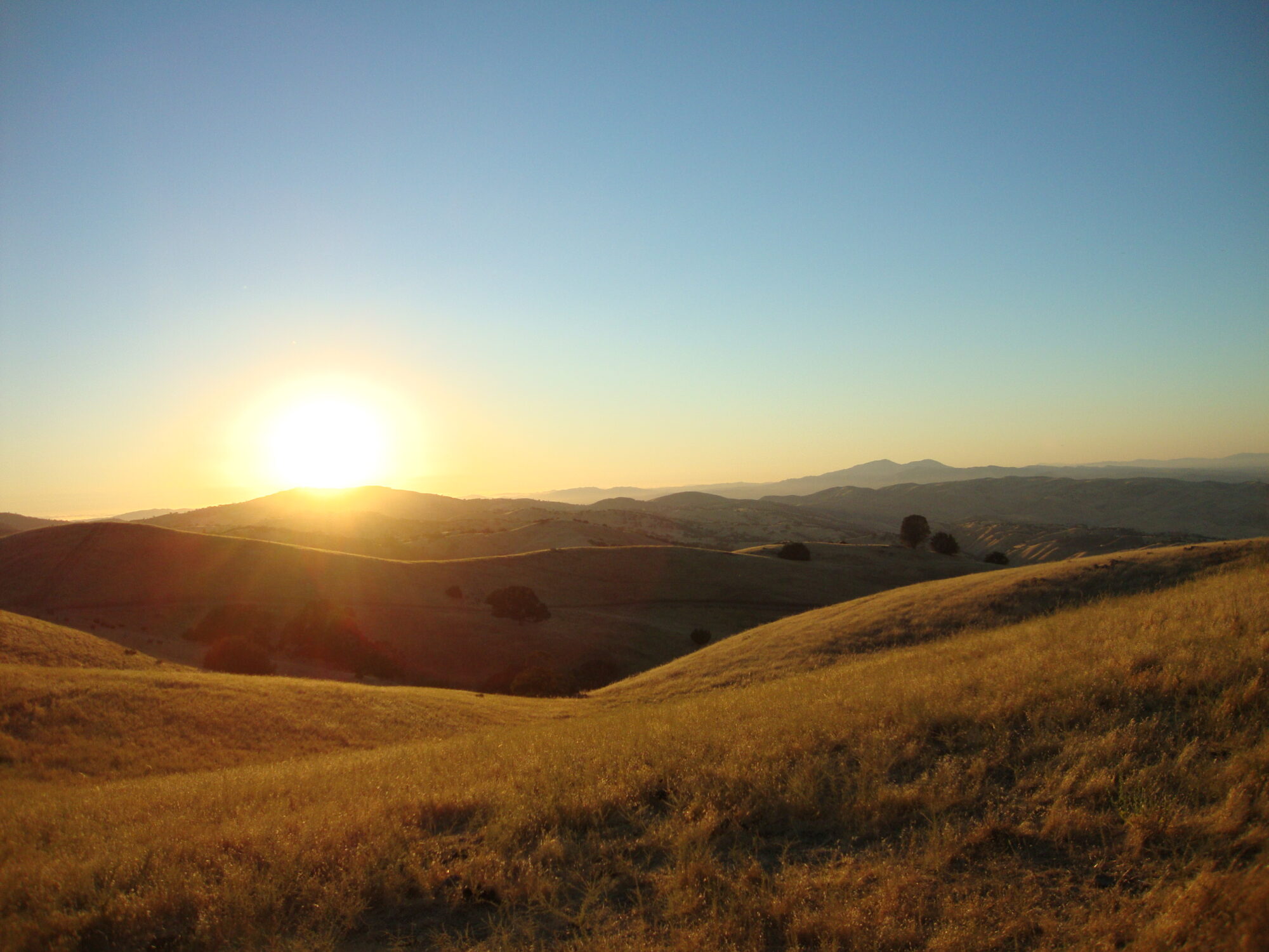 Connolly Ranch rangelands